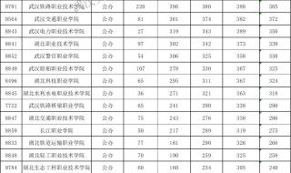 2020年武汉职业技术学院分数线