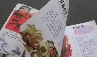 树下的小学课文原文